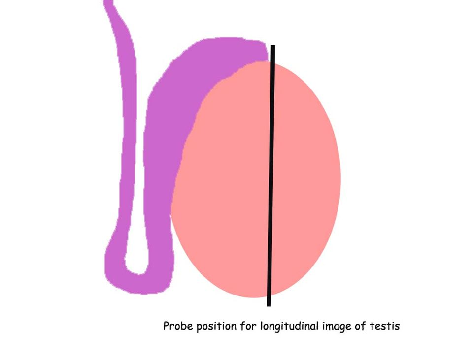 1648005348476919.png